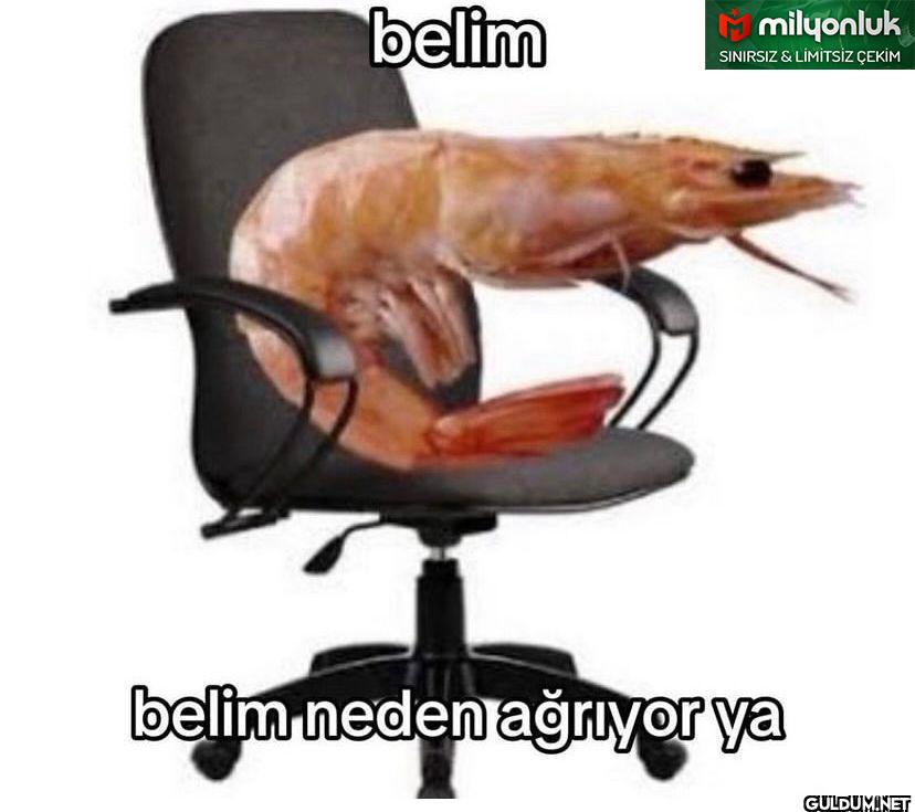 belim Mmilyonluk SINIRSIZ...