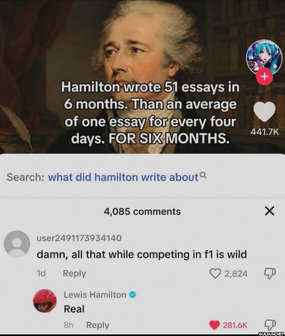 Hamilton wrote 51 essays...