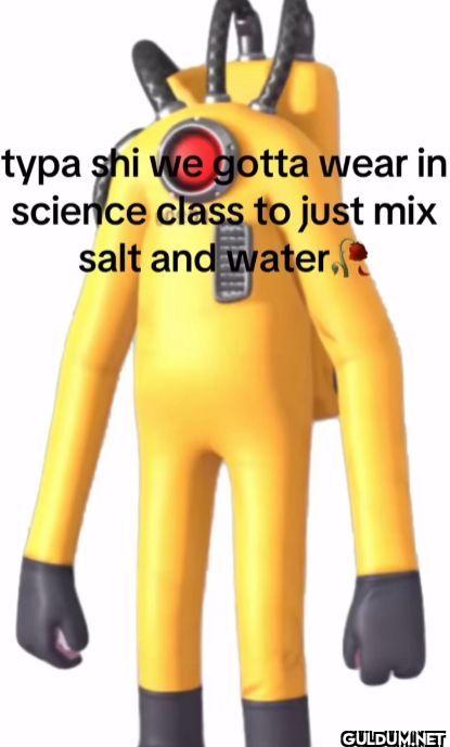 typa shi we gotta wear in...