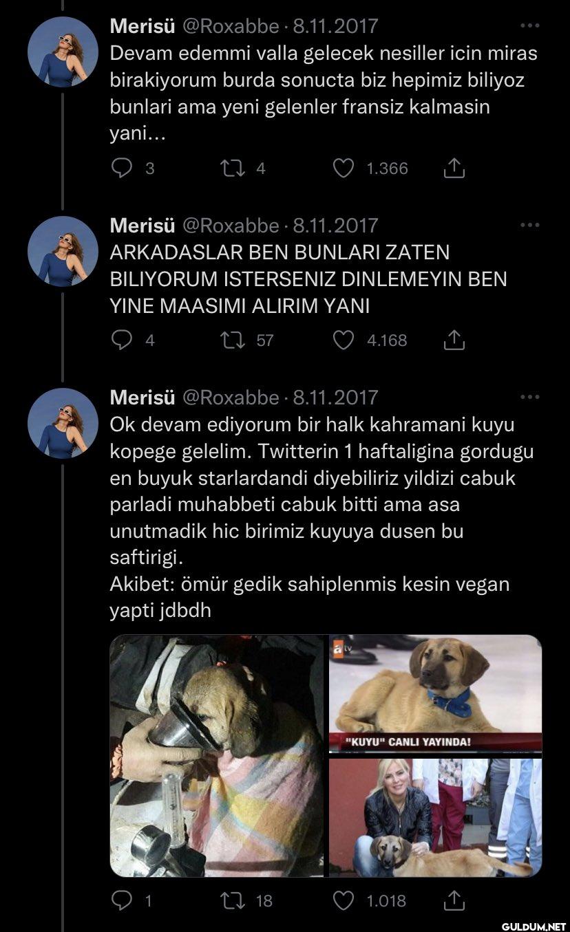 8.11.2017 Devam edemmi...