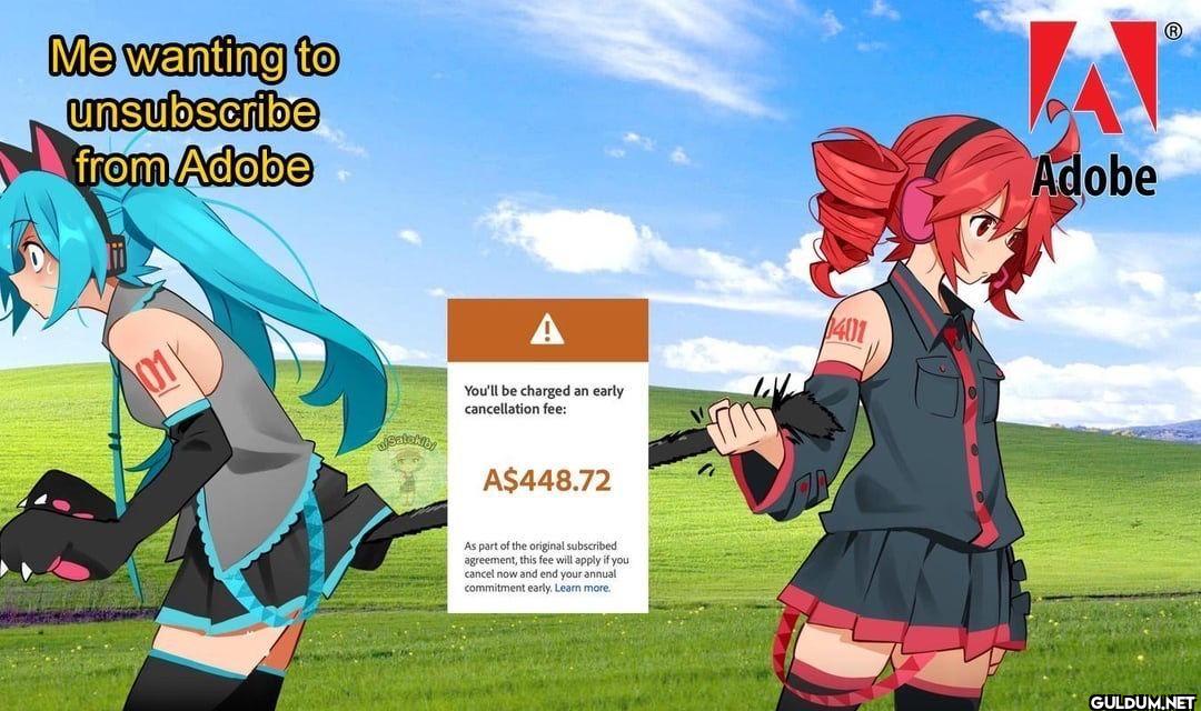 Me wanting to unsubscribe...