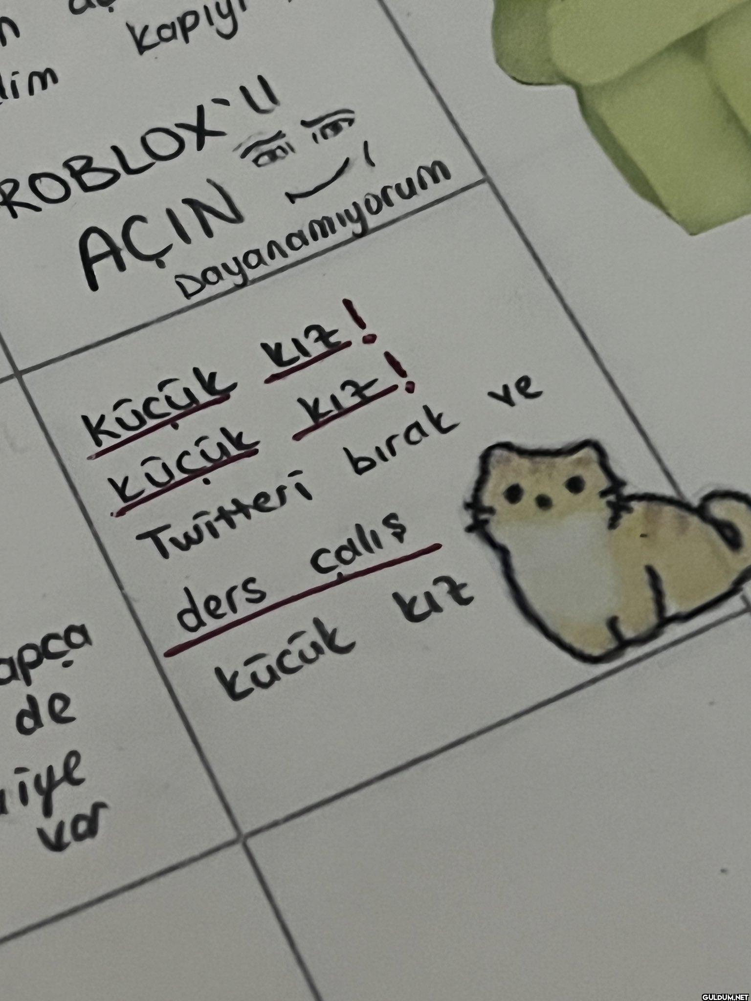 apça im kapiy ROBLOX U...