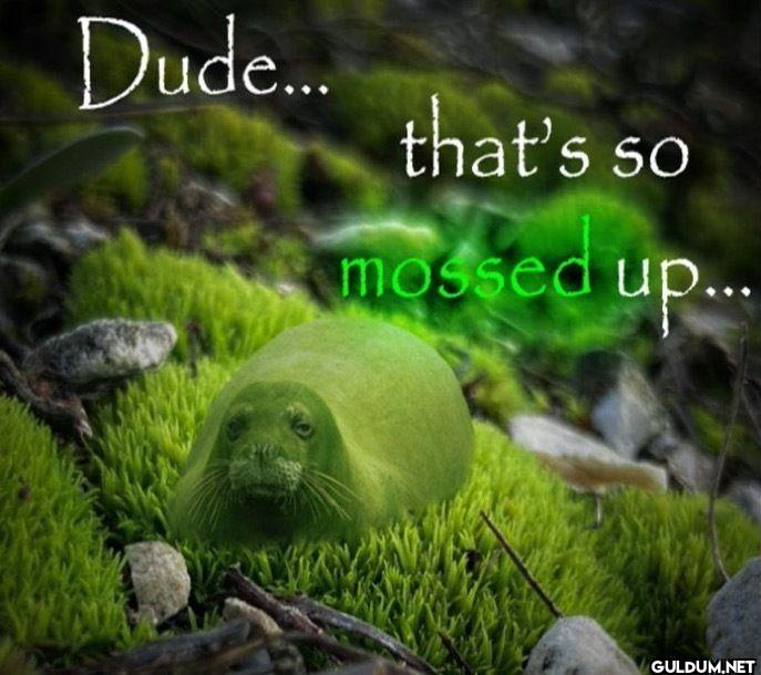 Dude... that's so mossed up...