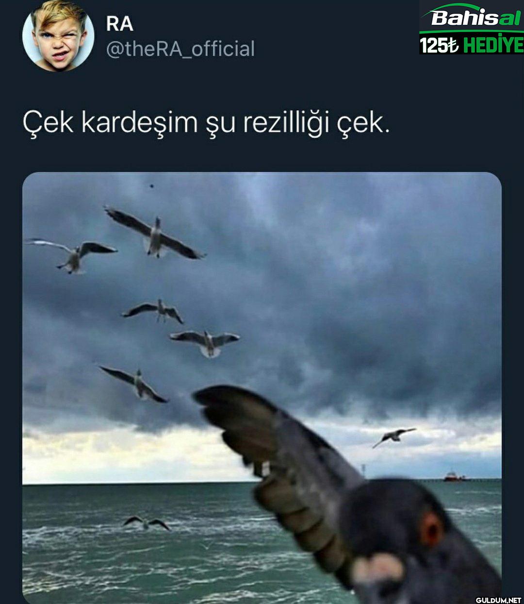 Çek kardeşim şu rezilliği...