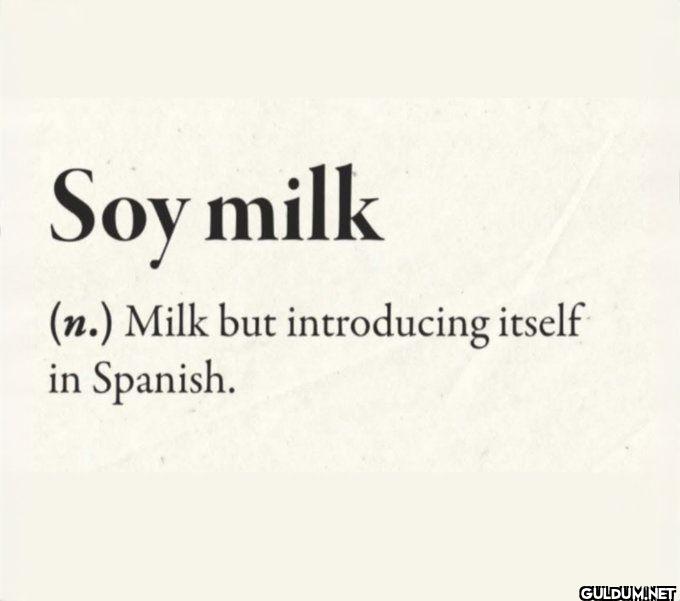 Soy milk n. Milk but...
