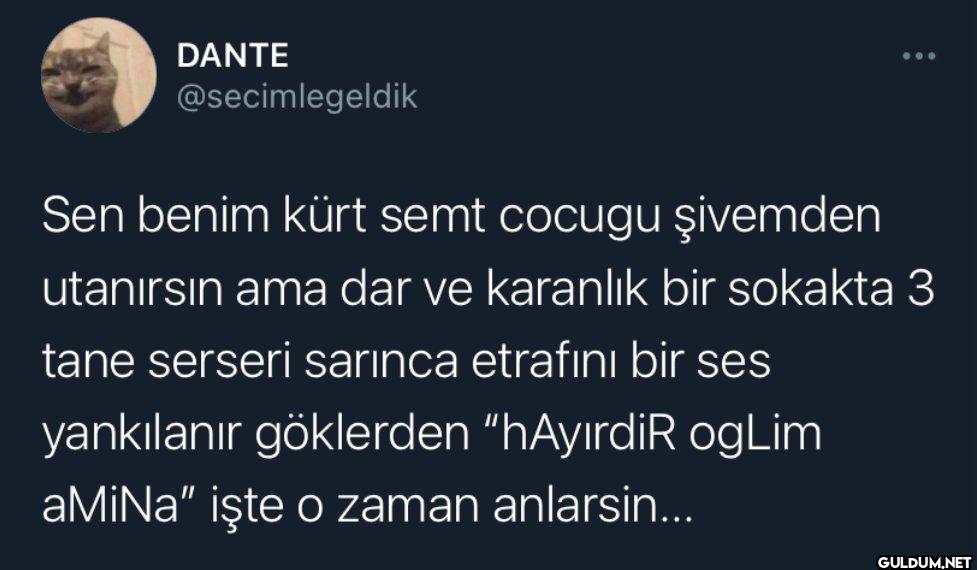 Sen benim kürt semt cocugu...