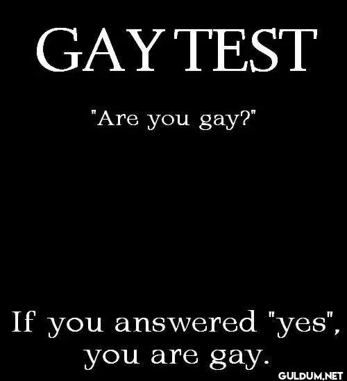 GAY TEST "Are you gay?" If...