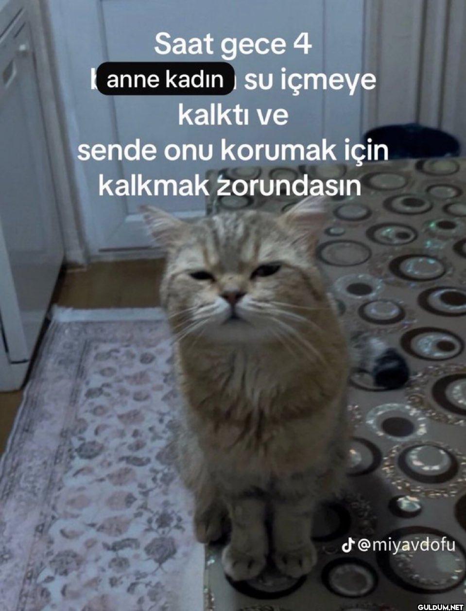 Saat gece 4 anne kadın su...