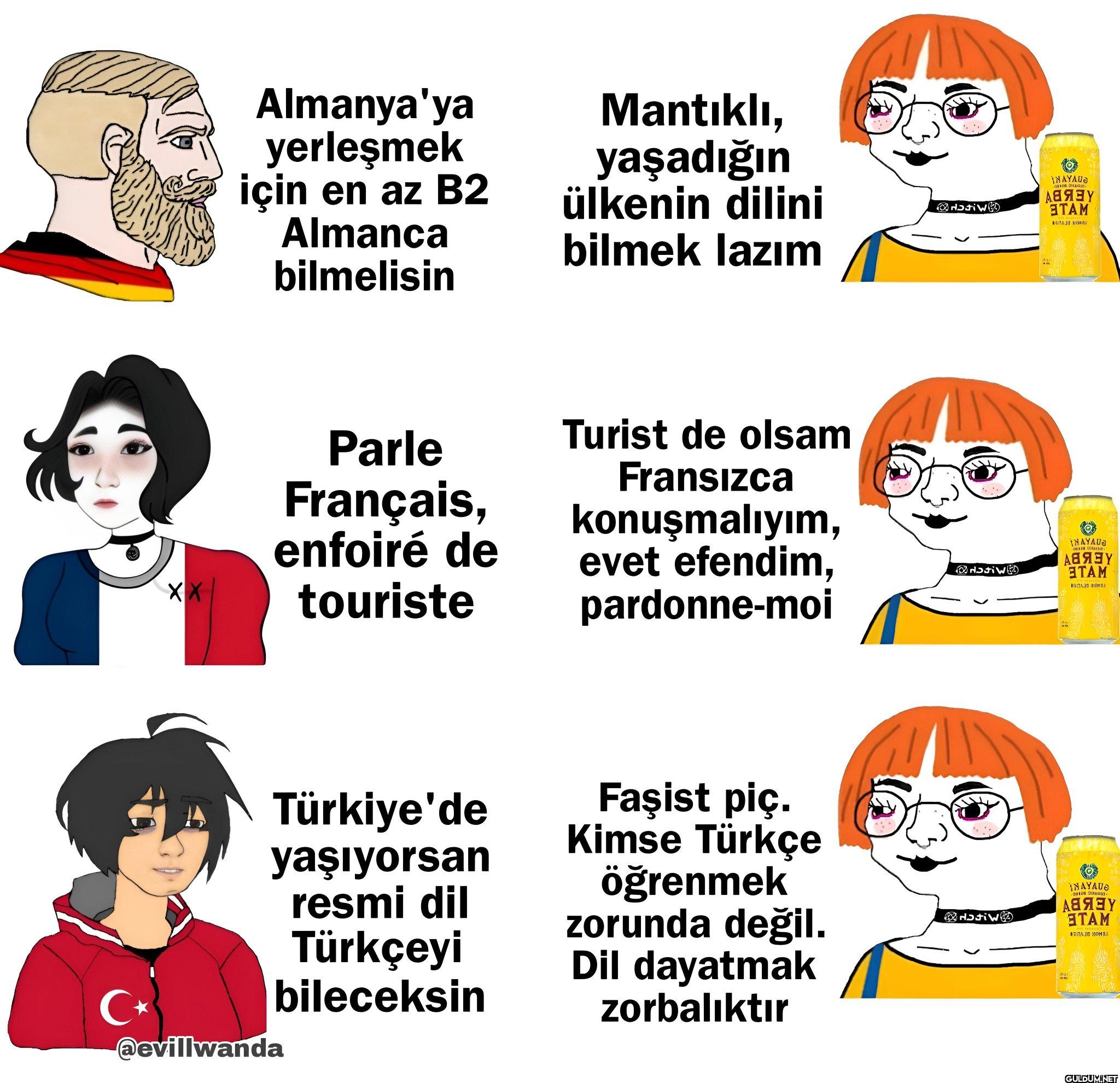 Her ülkenin resmi dilini...