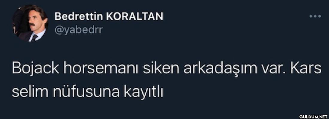 Bojack horsemanı siken...