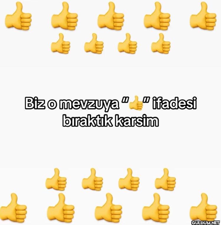 Biz o mevzuya "" ifadesi...