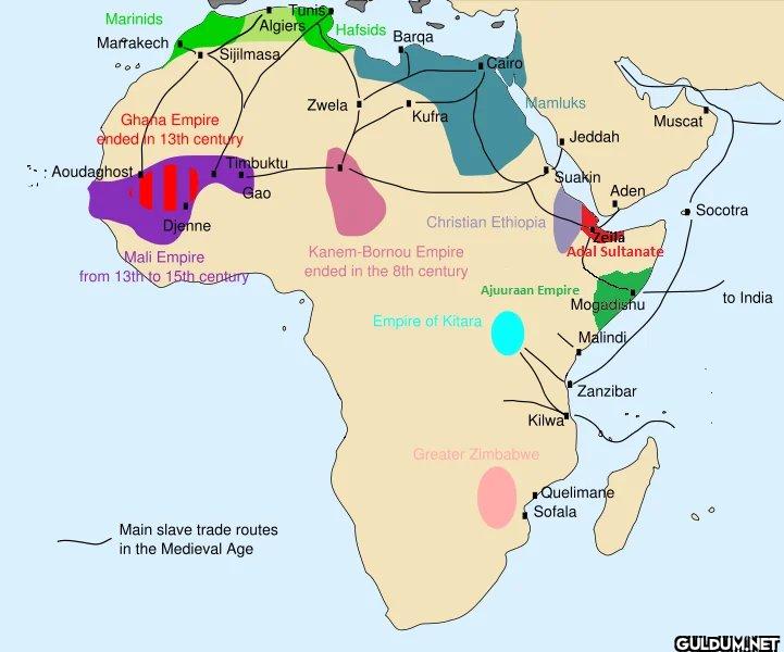 Arab Slave Trade    Tunis...