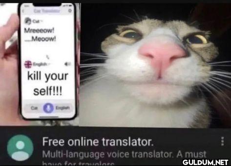 Free online translator....