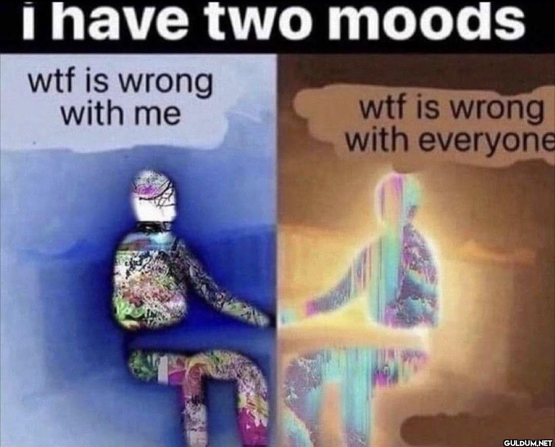 i have two moods wtf is...