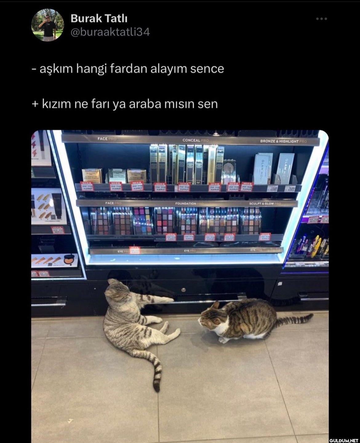 - aşkım hangi fardan...