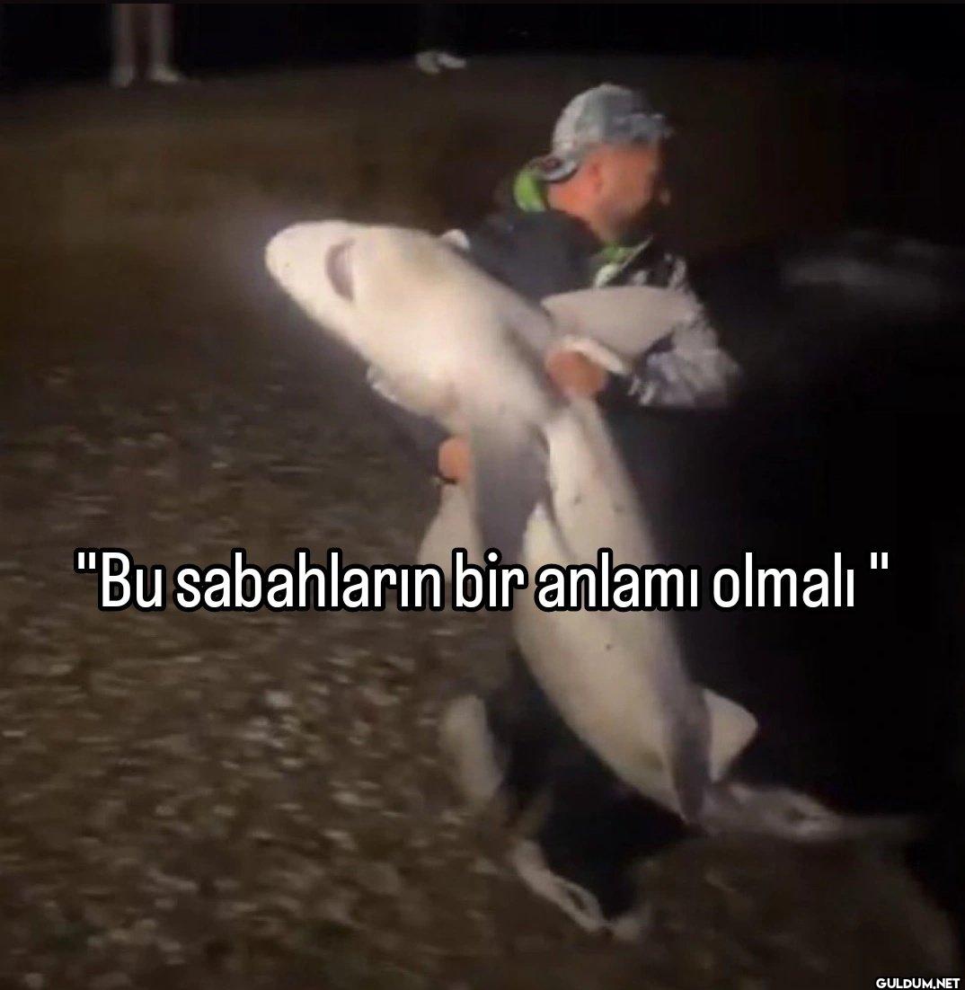 "Bu sabahların bir anlamı olmalı"