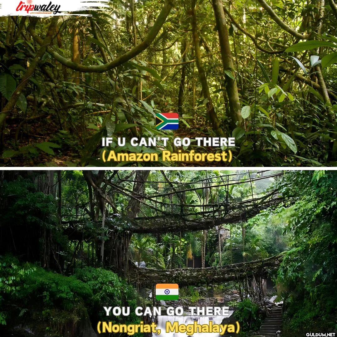 = tripwaley IF U CAN'T GO...
