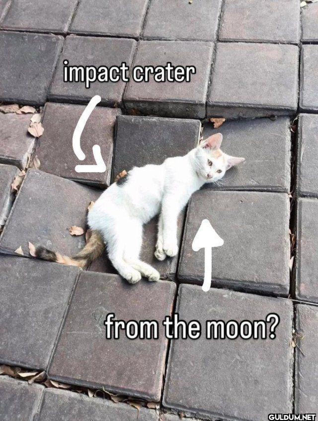 impact crater from the moon?