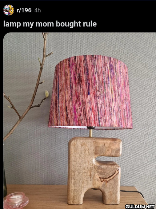r/196 4h lamp my mom bought rule