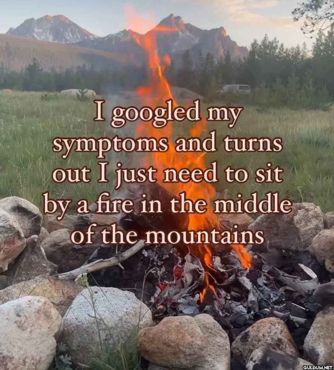 I googled my symptoms and...