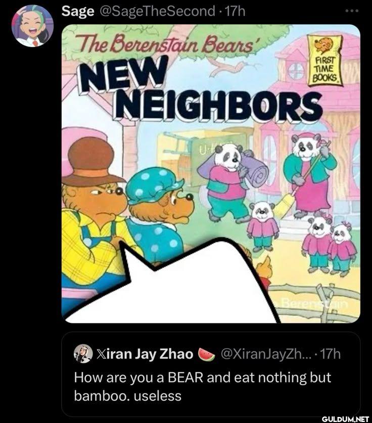 17h The Berenstain Bears...