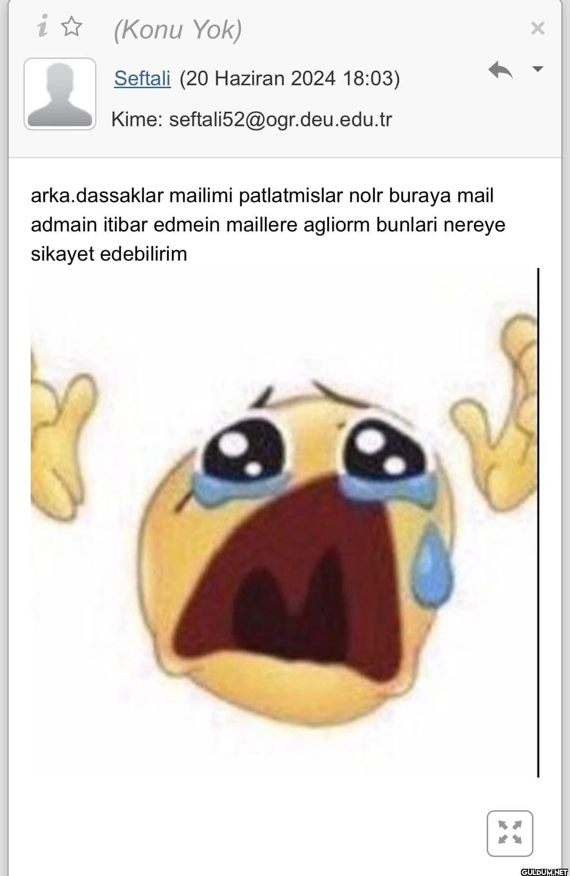 dokuz eylül...