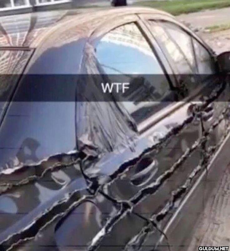WTF