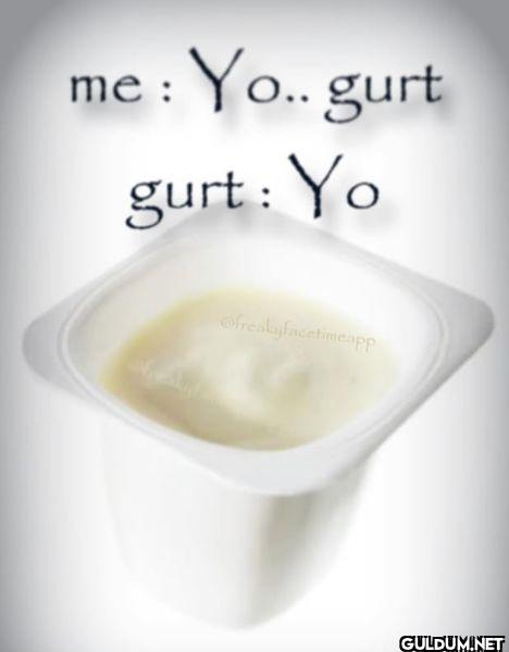 me: Yo.. gurt gurt: Yo...