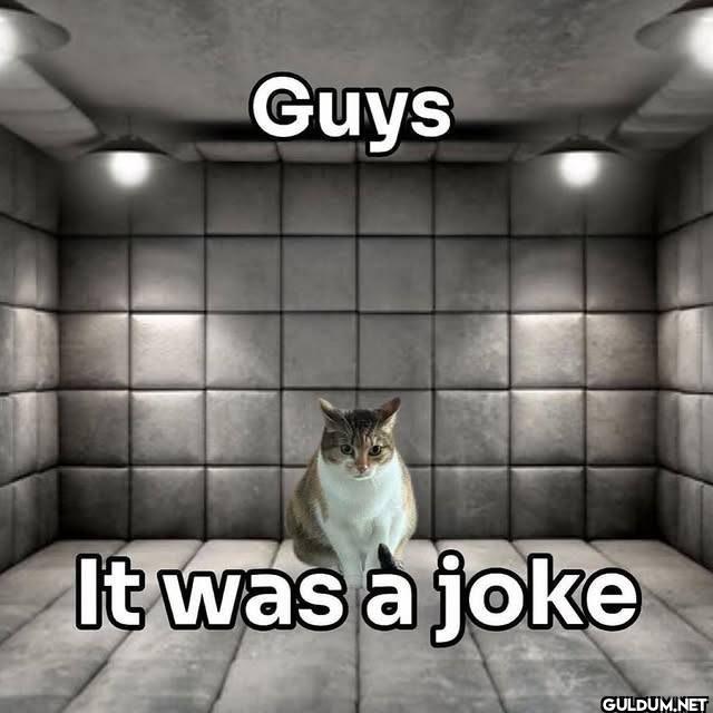 Guys It was a joke