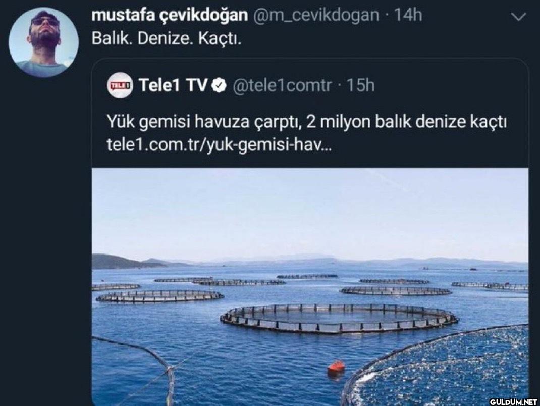 - 14h Balık. Denize....