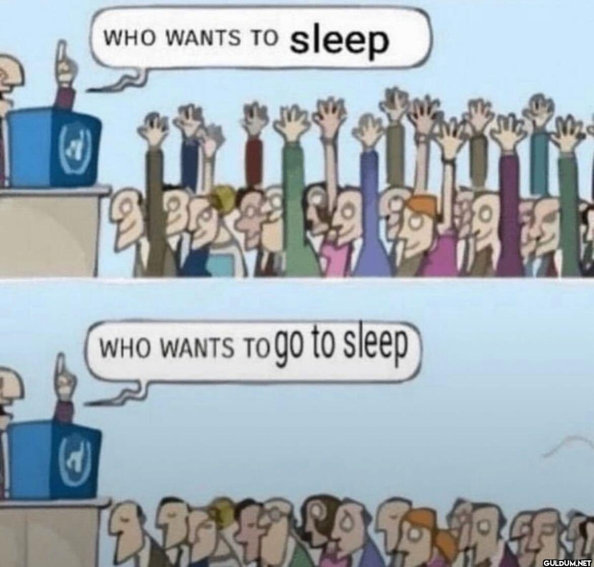 WHO WANTS TO sleep (4) WHO...