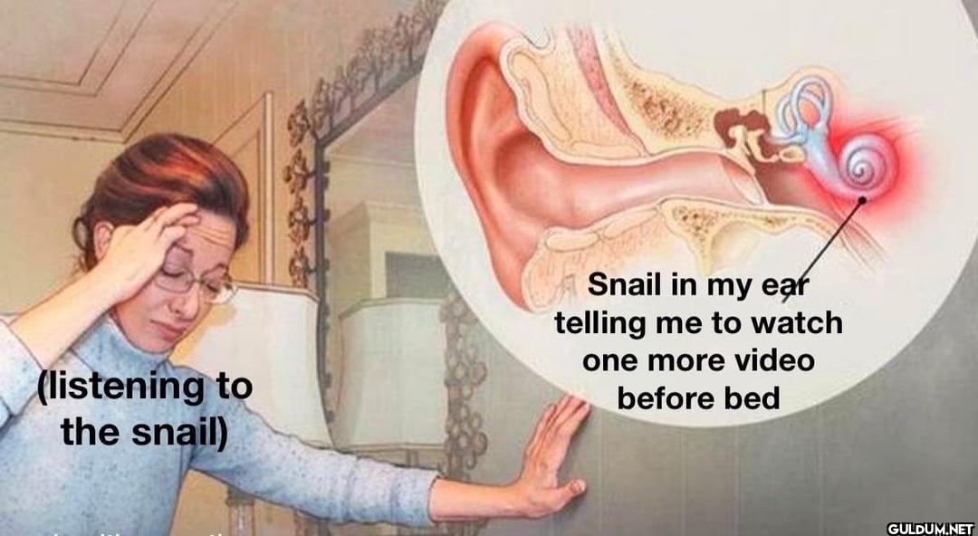 (listening to the snail)...