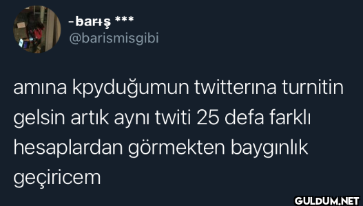 amına koyduğumun...