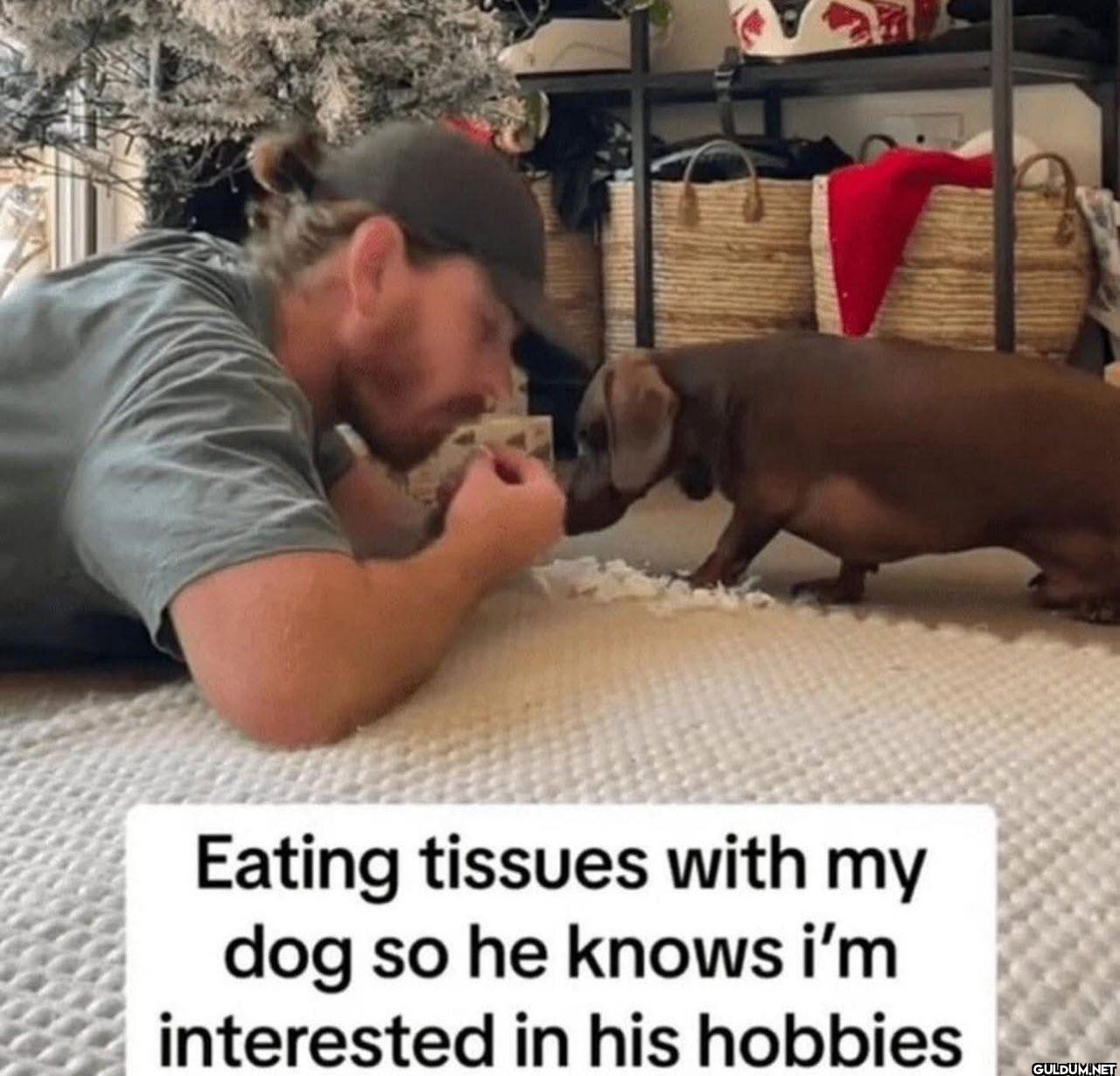 Eating tissues with my dog...