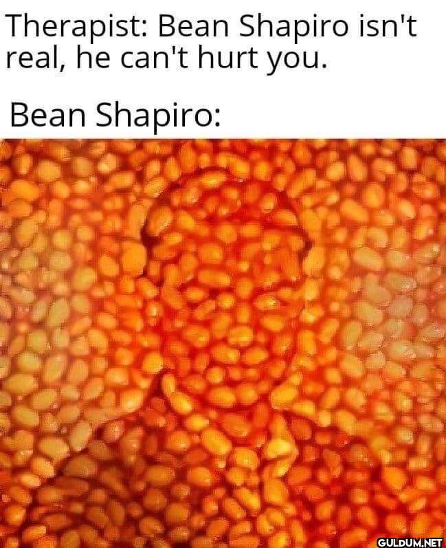 Therapist: Bean Shapiro...