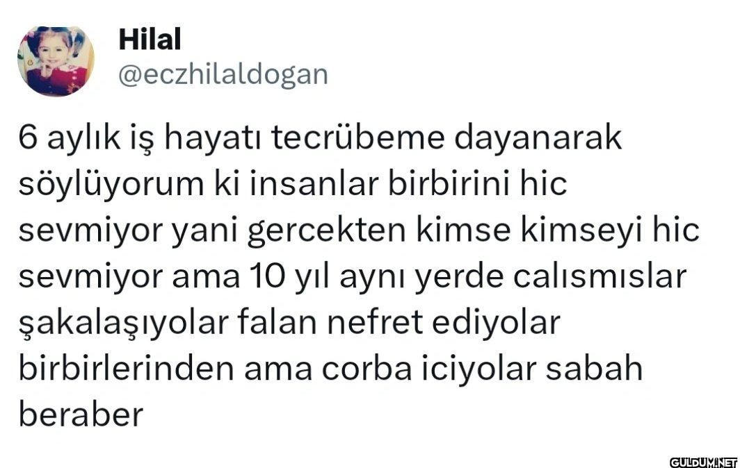 6 aylık iş hayatı...