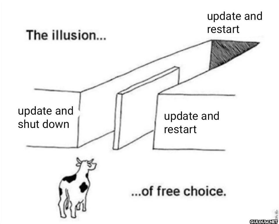 The illusion... update and...