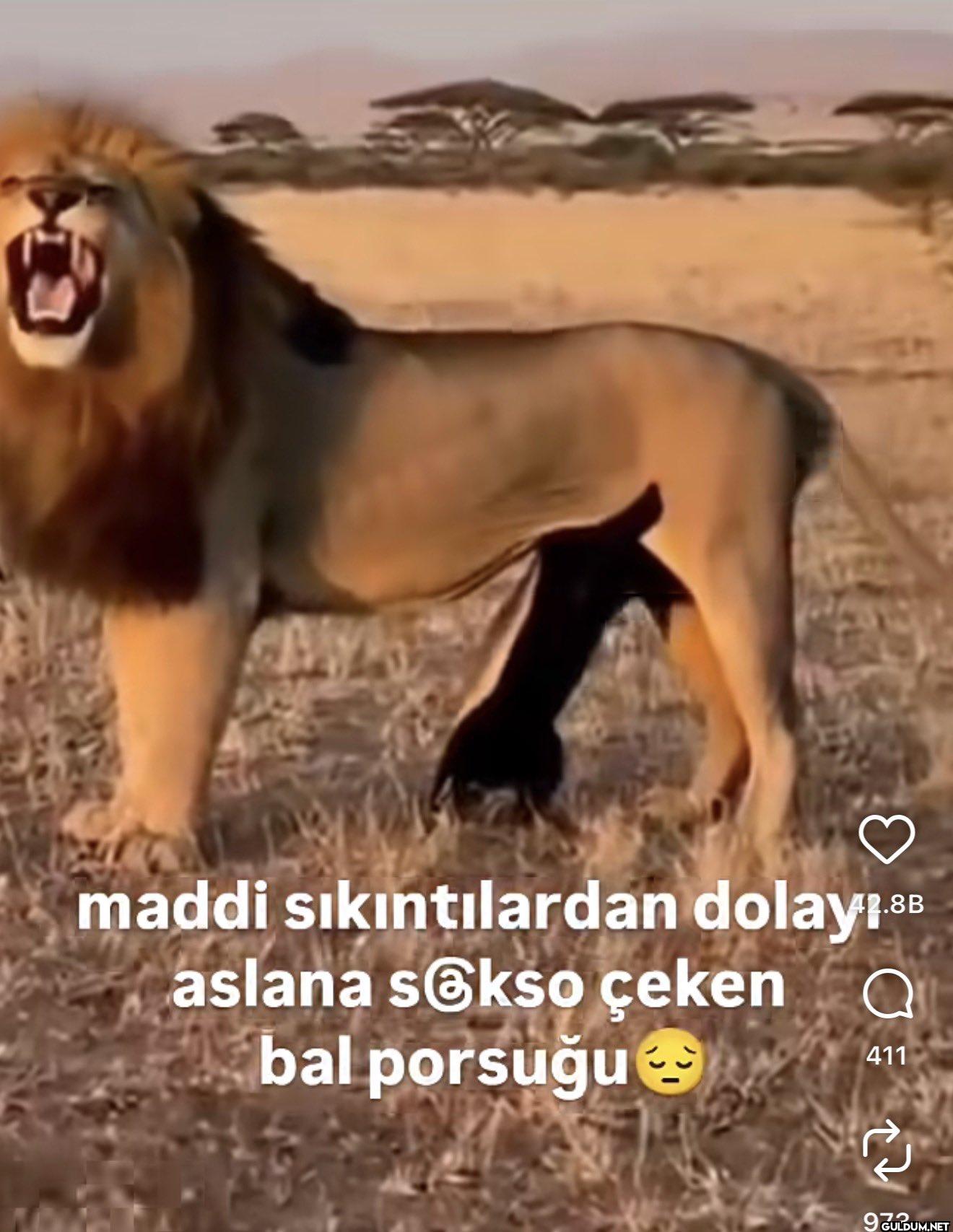 dünyanın en iyi instagram...