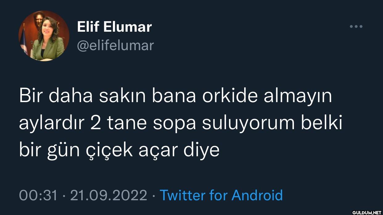 Bir daha sakın bana orkide...