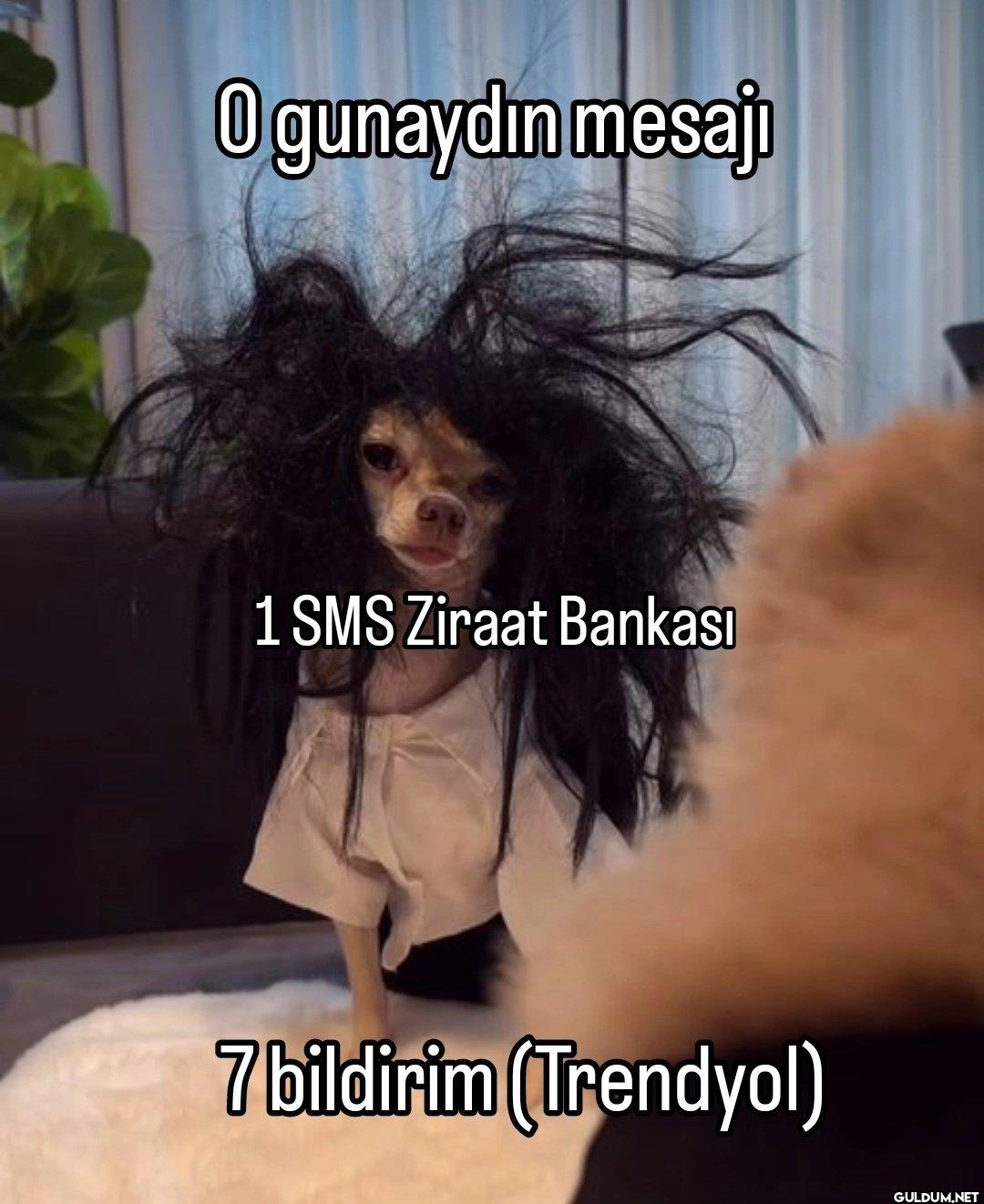 O gunaydın mesajı 1 SMS...