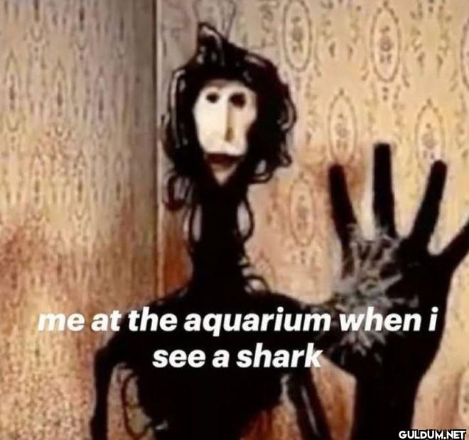 me at the aquarium when i...