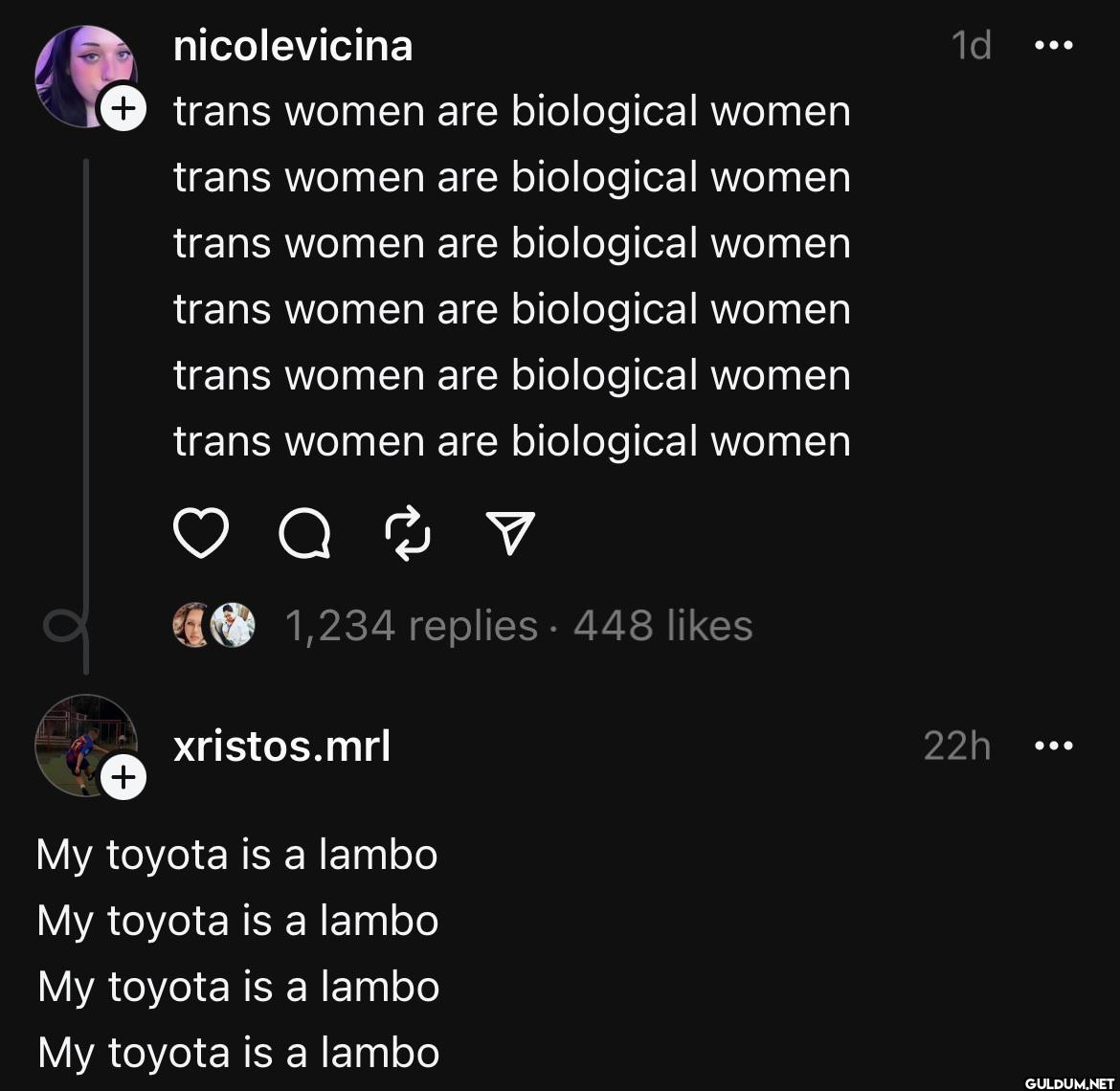 nicolevicina + trans women...