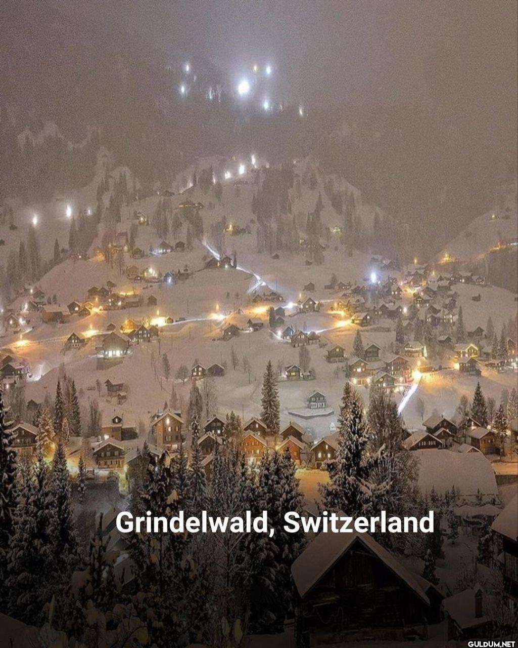 7. Grindelwald,...