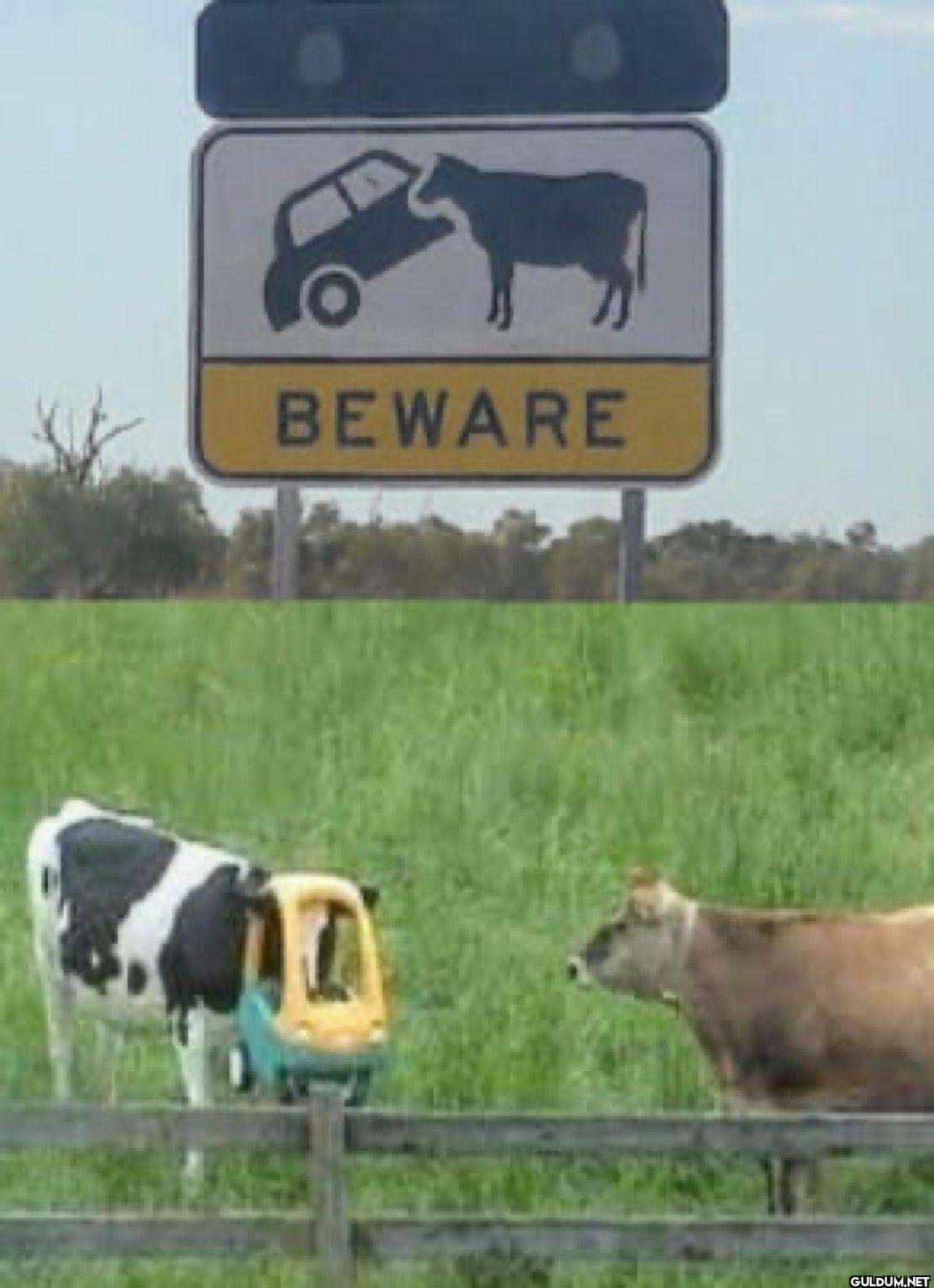 BEWARE