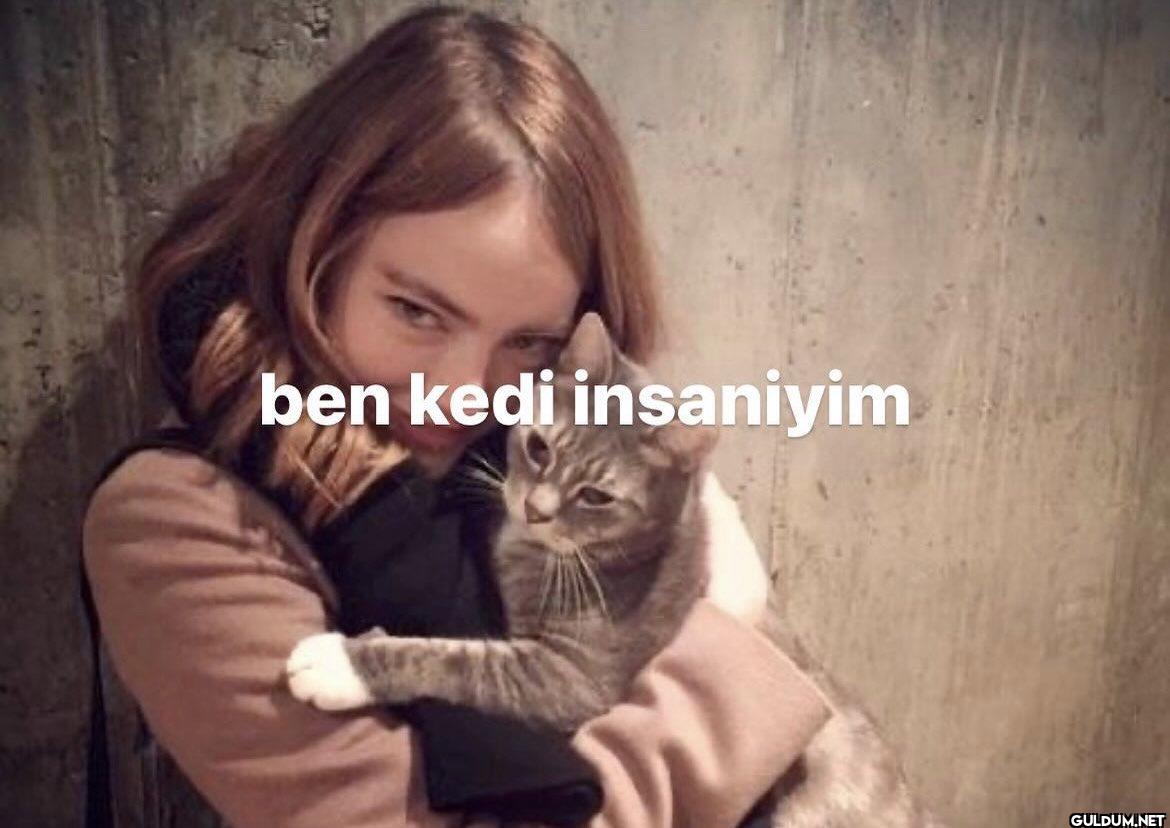 ben kedi insaniyim