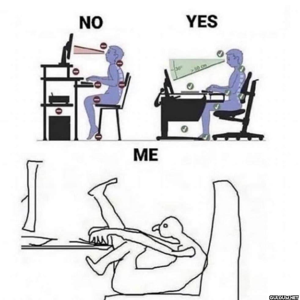 NO YES ME