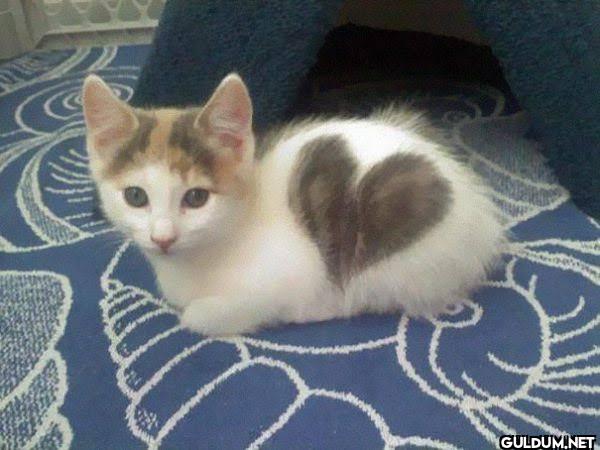 ♥️