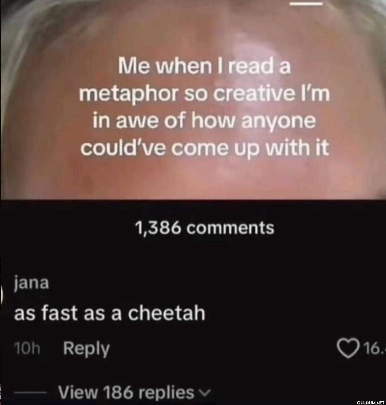 jana Me when I read a...