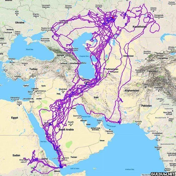 Tracking Of 20 Eagle Over...