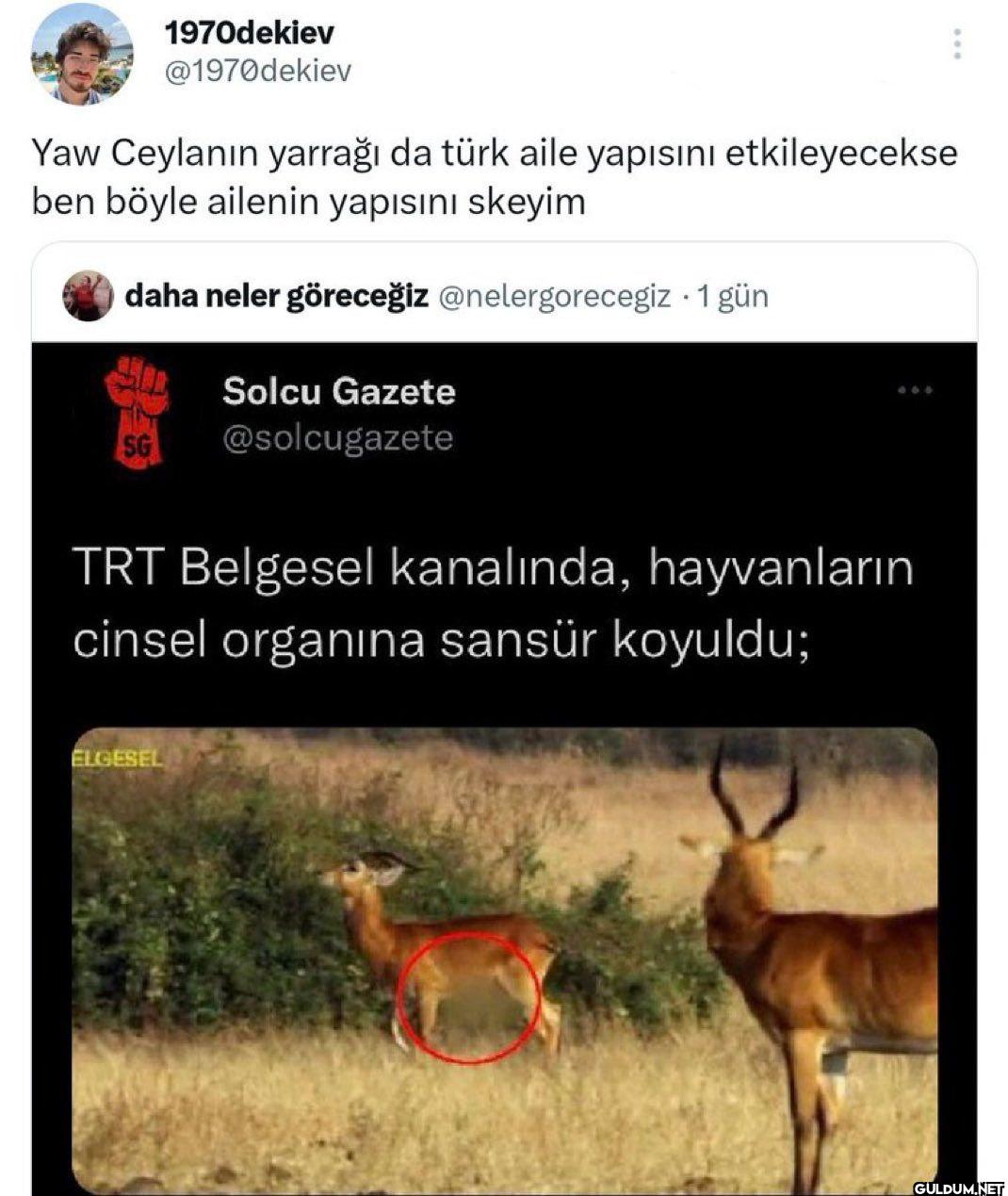 Yaw Ceylanın yarrağı da...